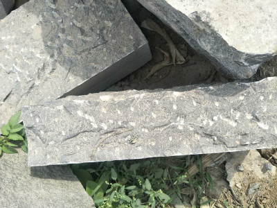 青石（鱼子石）